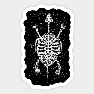 Turtle bone Sticker